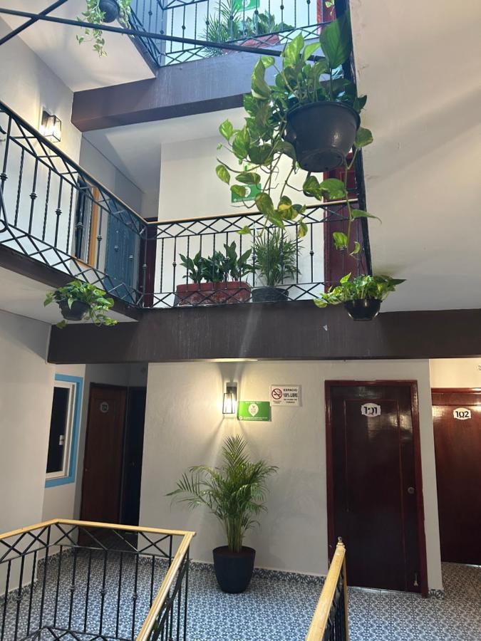 Hotel Jar8 Bule Boca del Río Eksteriør billede